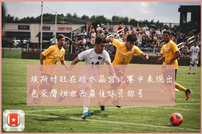 埃斯特旺在对水晶宫比赛中表现出色荣膺切尔西最佳球员称号